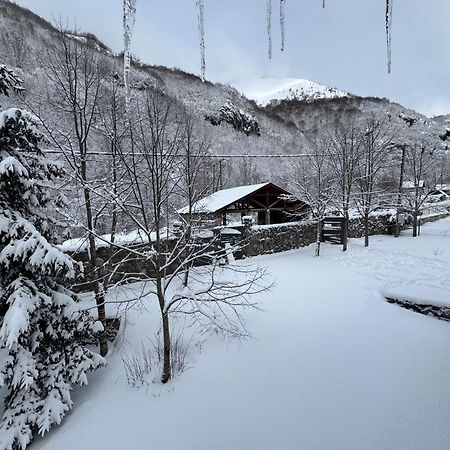 Vikendice Biocinovici Villa Kolašin Kültér fotó