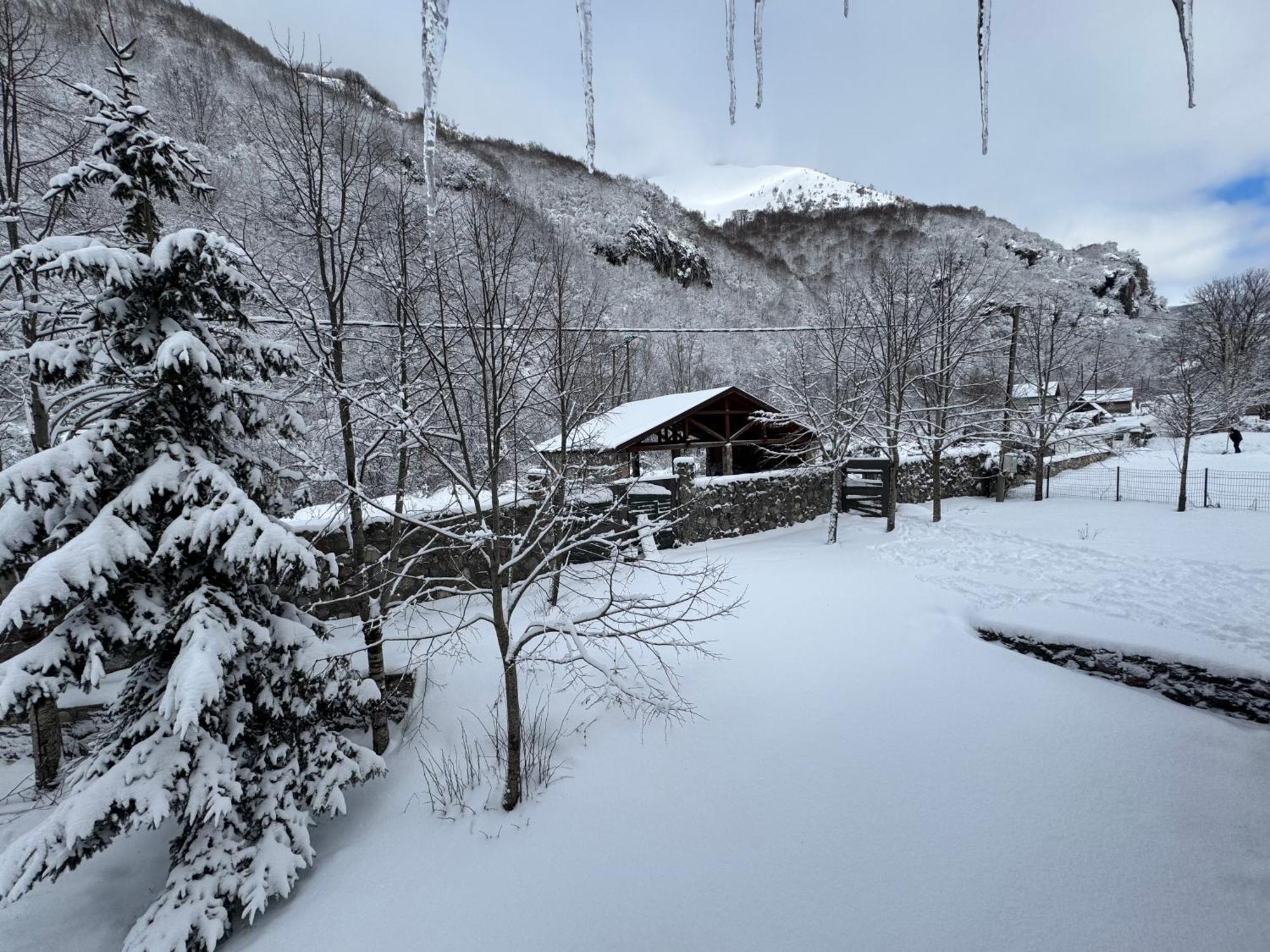 Vikendice Biocinovici Villa Kolašin Kültér fotó